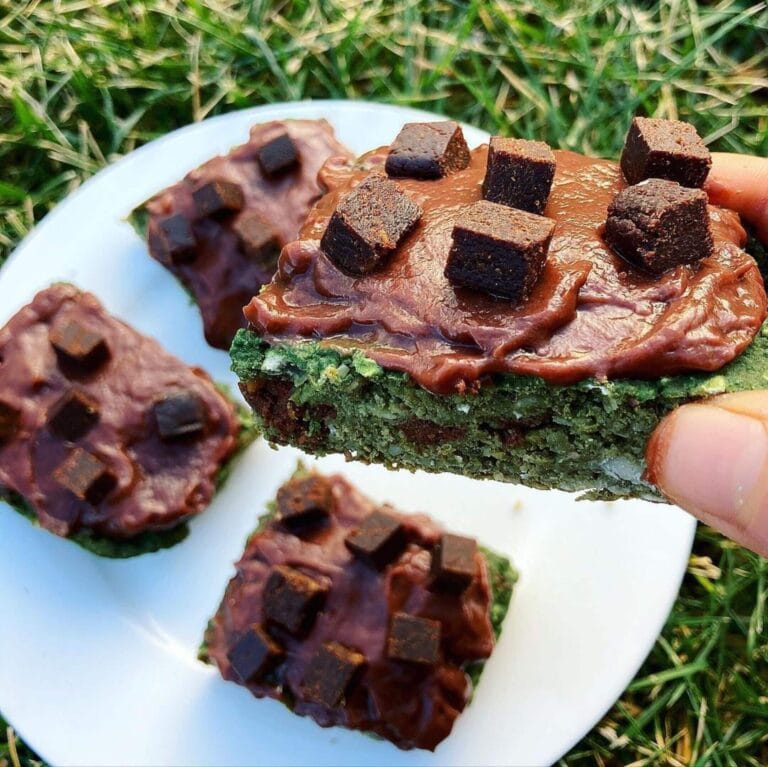 vegan mint chocolate chip bars