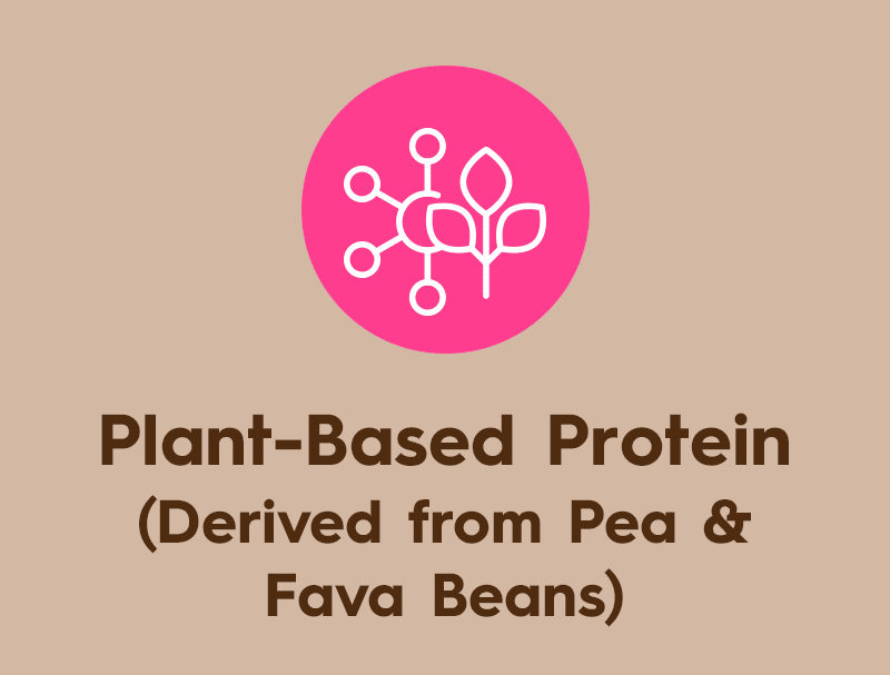 Plant Based Protein Derived from Pea and Fava Beans